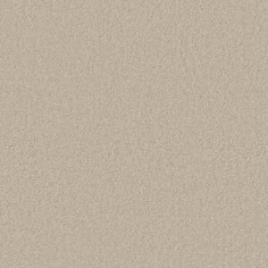 Anderson Tuftex Carpet Cashmere Classic I Cheviot 00104_CCS68