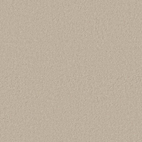 Anderson Tuftex Carpet Cashmere Classic I Cheviot 00104_CCS68