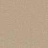 Anderson Tuftex Carpet Cashmere Classic I Yearling 00107_CCS68
