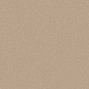 Anderson Tuftex Carpet Cashmere Classic I Yearling 00107_CCS68