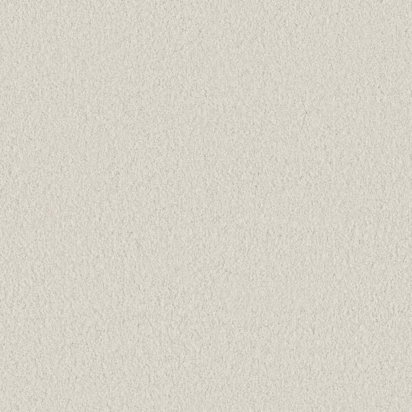 Anderson Tuftex Carpet Cashmere Classic I Crisp 00120_CCS68