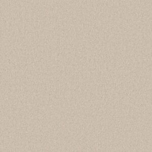 Anderson Tuftex Carpet Cashmere Classic I Fresh Cream 00121_CCS68