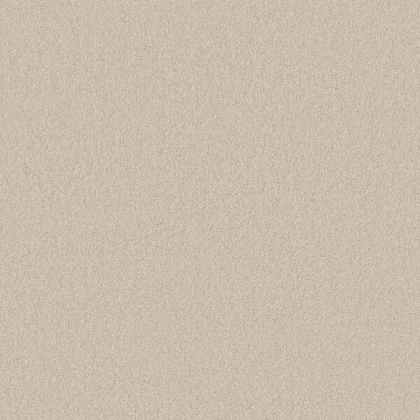 Anderson Tuftex Carpet Cashmere Classic I Fresh Cream 00121_CCS68