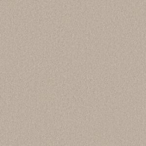 Anderson Tuftex Carpet Cashmere Classic I Heirloom 00122_CCS68