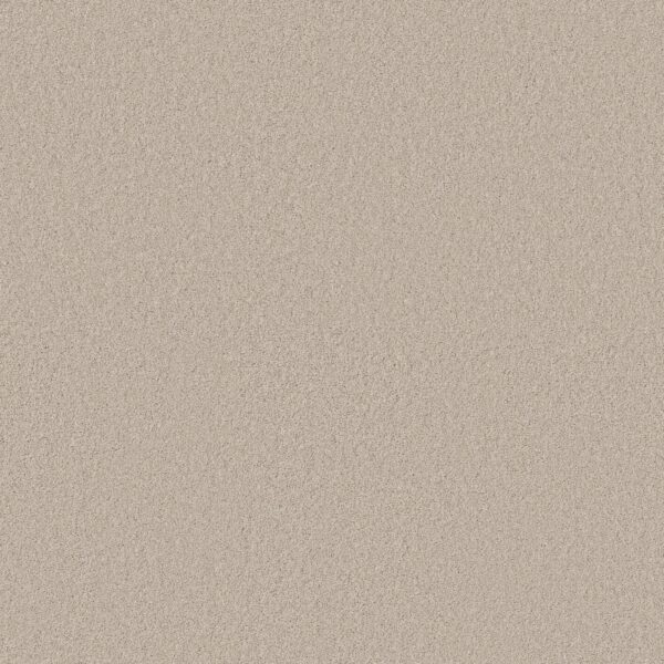 Anderson Tuftex Carpet Cashmere Classic I Heirloom 00122_CCS68