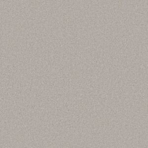 Anderson Tuftex Carpet Cashmere Classic I Silver Lining 00123_CCS68