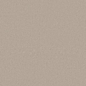 Anderson Tuftex Carpet Cashmere Classic I Bismuth 00124_CCS68