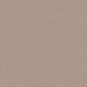 Anderson Tuftex Carpet Cashmere Classic I Harvest Moon 00126_CCS68