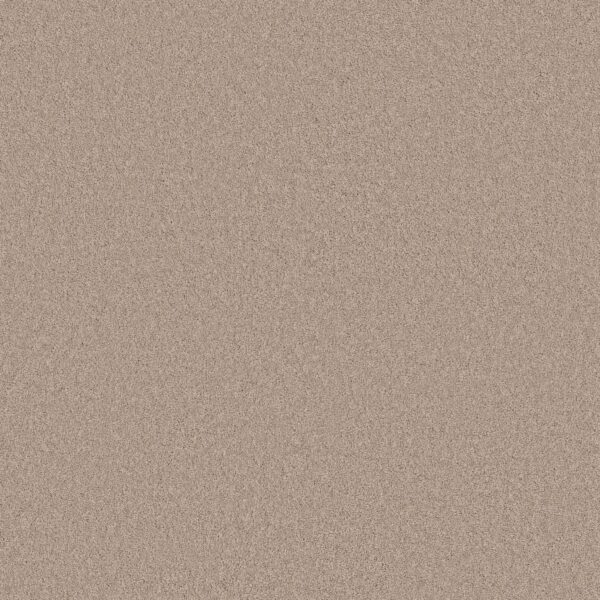 Anderson Tuftex Carpet Cashmere Classic I Harvest Moon 00126_CCS68