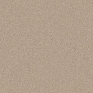 Anderson Tuftex Carpet Cashmere Classic I Suede 00127_CCS68