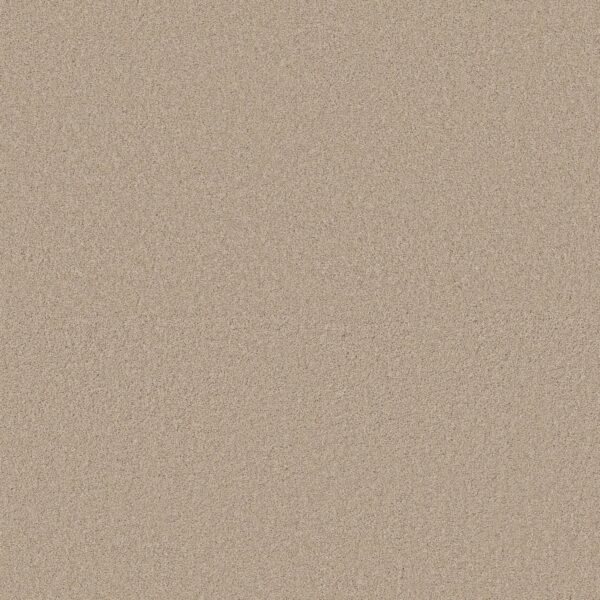 Anderson Tuftex Carpet Cashmere Classic I Suede 00127_CCS68
