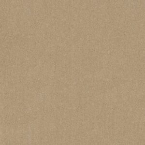 Anderson Tuftex Carpet Cashmere Classic I Gentle Doe 00128_CCS68
