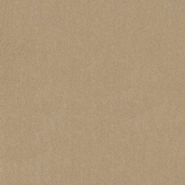 Anderson Tuftex Carpet Cashmere Classic I Gentle Doe 00128_CCS68