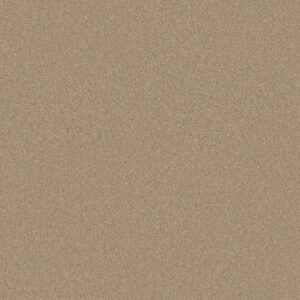 Anderson Tuftex Carpet Cashmere Classic I Manilla 00221_CCS68