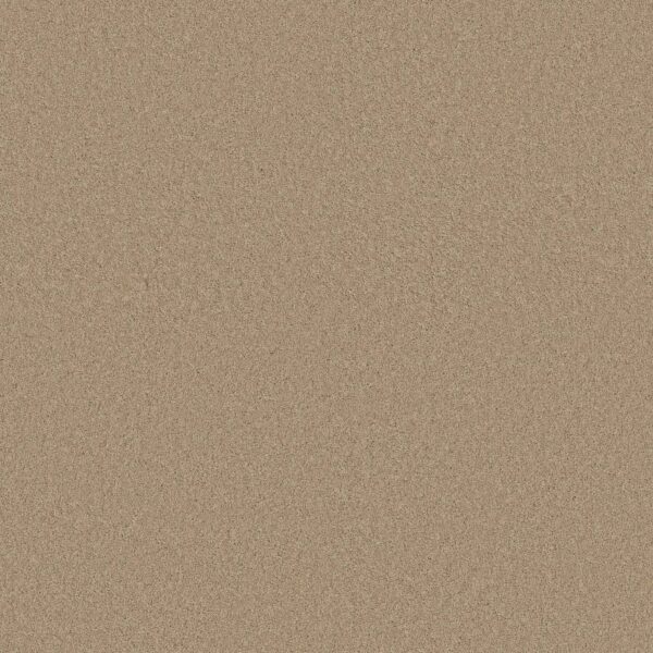 Anderson Tuftex Carpet Cashmere Classic I Manilla 00221_CCS68