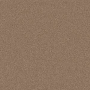 Anderson Tuftex Carpet Cashmere Classic I Brass Lantern 00222_CCS68