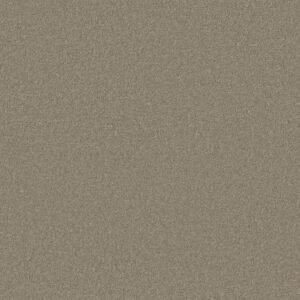 Anderson Tuftex Carpet Cashmere Classic I Spruce 00321_CCS68