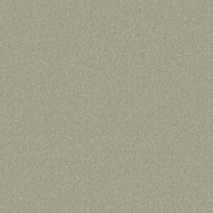 Anderson Tuftex Carpet Cashmere Classic I Celadon 00322_CCS68