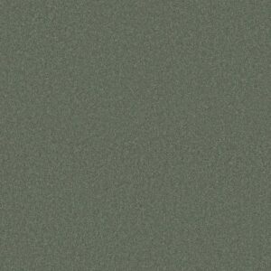 Anderson Tuftex Carpet Cashmere Classic I Jade 00323_CCS68