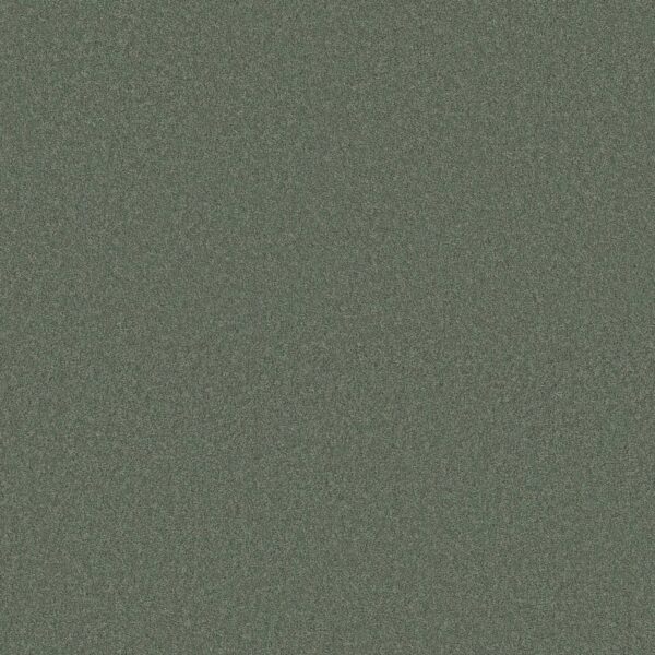 Anderson Tuftex Carpet Cashmere Classic I Jade 00323_CCS68