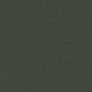 Anderson Tuftex Carpet Cashmere Classic I Emerald 00324_CCS68