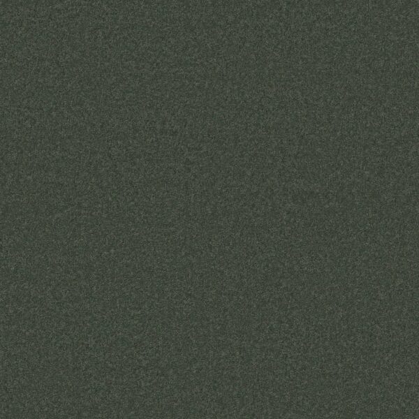Anderson Tuftex Carpet Cashmere Classic I Emerald 00324_CCS68