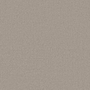 Anderson Tuftex Carpet Cashmere Classic I Sterling 00511_CCS68