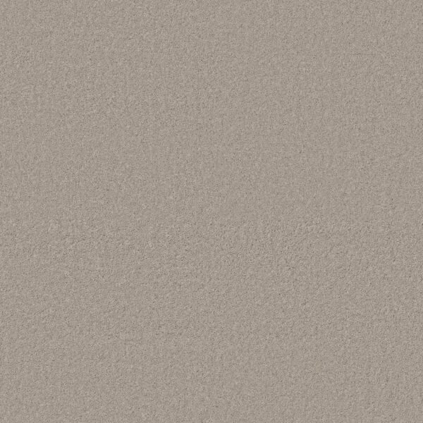 Anderson Tuftex Carpet Cashmere Classic I Sterling 00511_CCS68