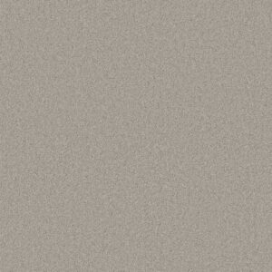 Anderson Tuftex Carpet Cashmere Classic I Froth 00520_CCS68