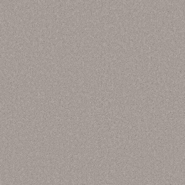 Anderson Tuftex Carpet Cashmere Classic I Froth 00520_CCS68