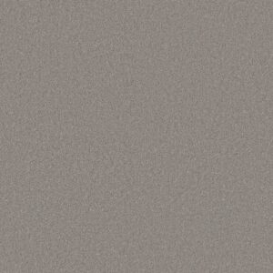 Anderson Tuftex Carpet Cashmere Classic I Haze 00521_CCS68