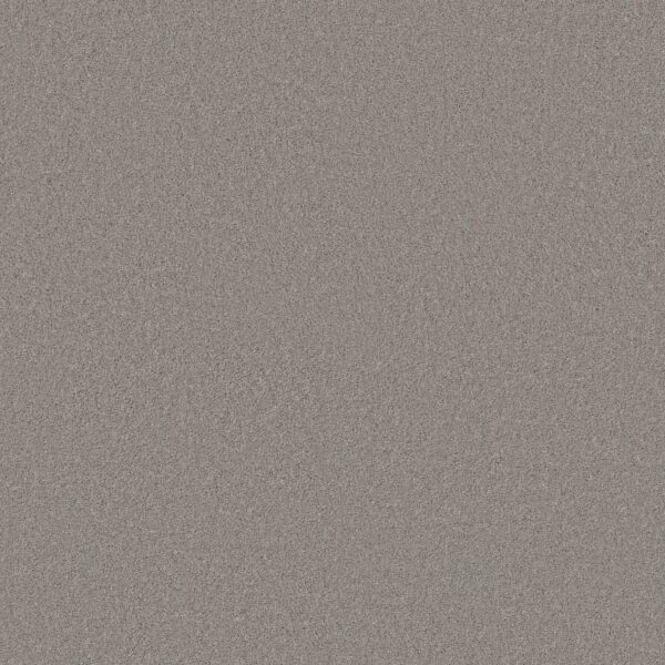 Anderson Tuftex Carpet Cashmere Classic I Haze 00521_CCS68