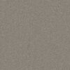 Anderson Tuftex Carpet Cashmere Classic I Birch Bark 00522_CCS68