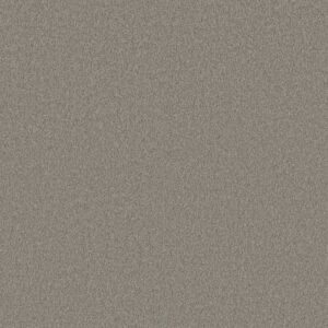 Anderson Tuftex Carpet Cashmere Classic I Birch Bark 00522_CCS68
