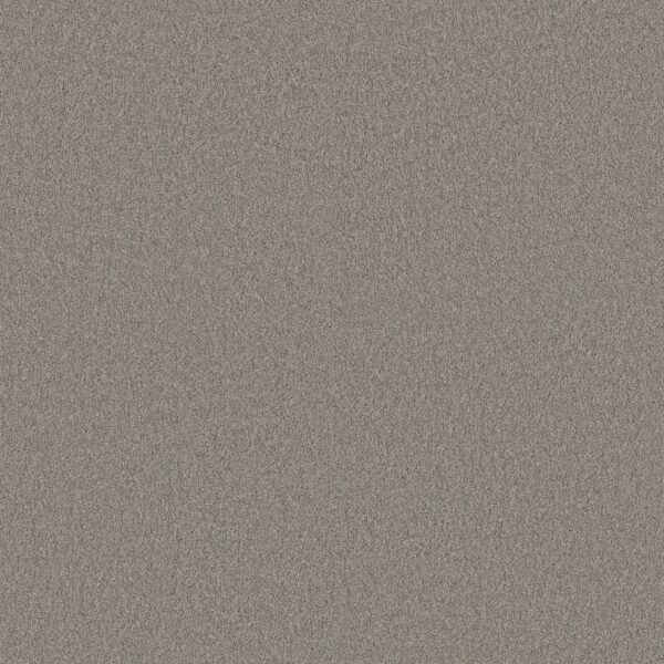 Anderson Tuftex Carpet Cashmere Classic I Birch Bark 00522_CCS68