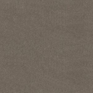 Anderson Tuftex Carpet Cashmere Classic I Barnboard 00525_CCS68