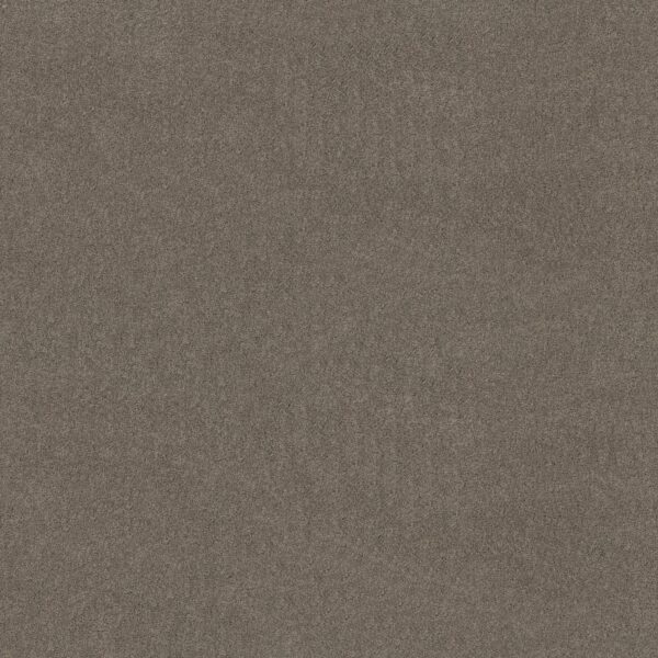 Anderson Tuftex Carpet Cashmere Classic I Barnboard 00525_CCS68