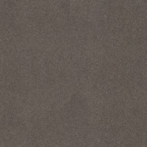 Anderson Tuftex Carpet Cashmere Classic I Chinchilla 00526_CCS68