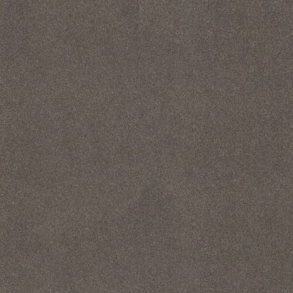 Anderson Tuftex Carpet Cashmere Classic I Chinchilla 00526_CCS68