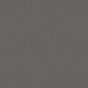 Anderson Tuftex Carpet Cashmere Classic I Shalestone 00527_CCS68