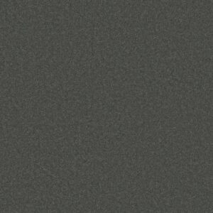 Anderson Tuftex Carpet Cashmere Classic I Onyx 00528_CCS68
