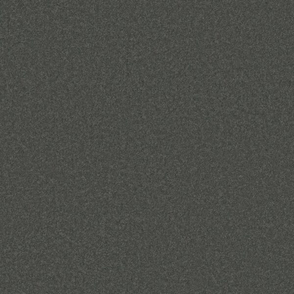 Anderson Tuftex Carpet Cashmere Classic I Onyx 00528_CCS68