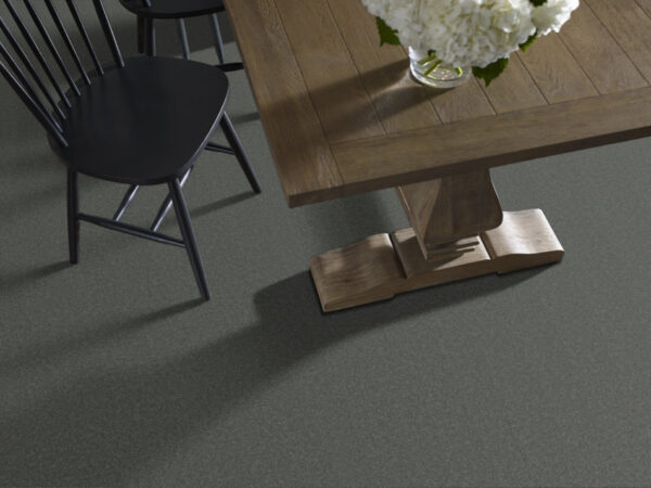 Anderson Tuftex Carpet Cashmere Classic I Onyx 00528_CCS68 - Image 2