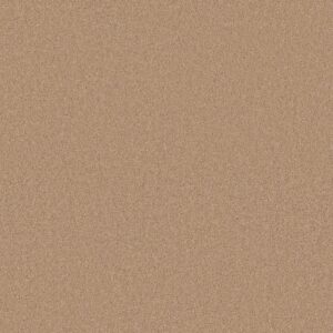 Anderson Tuftex Carpet Cashmere Classic I Maplewood North 00600_CCS68
