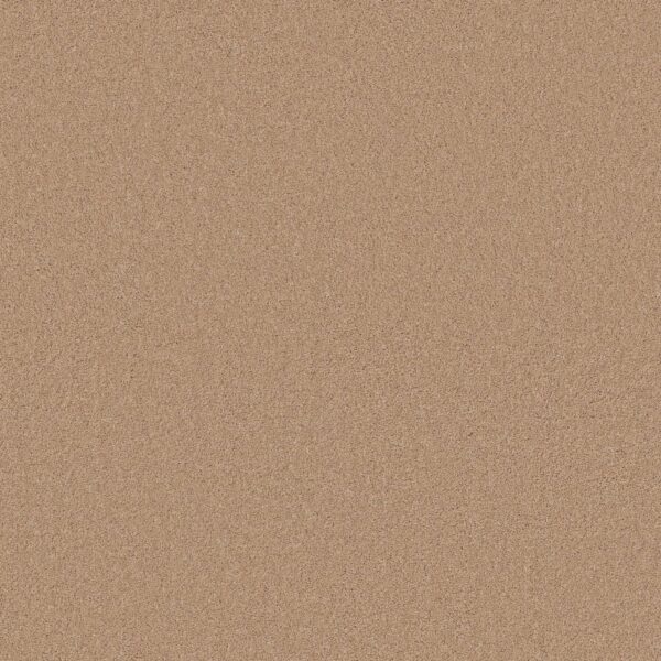 Anderson Tuftex Carpet Cashmere Classic I Maplewood North 00600_CCS68