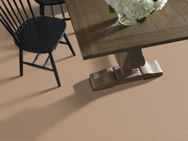 Anderson Tuftex Carpet Cashmere Classic I Maplewood North 00600_CCS68 - Image 2