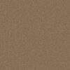 Anderson Tuftex Carpet Cashmere Classic I Navajo 00703_CCS68