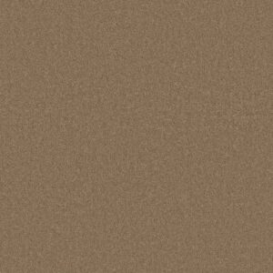Anderson Tuftex Carpet Cashmere Classic I Navajo 00703_CCS68