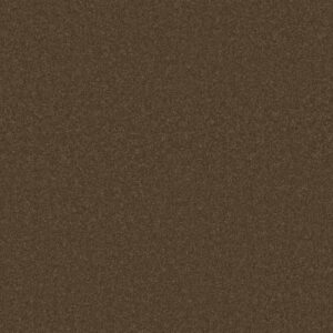 Anderson Tuftex Carpet Cashmere Classic I Bison 00707_CCS68