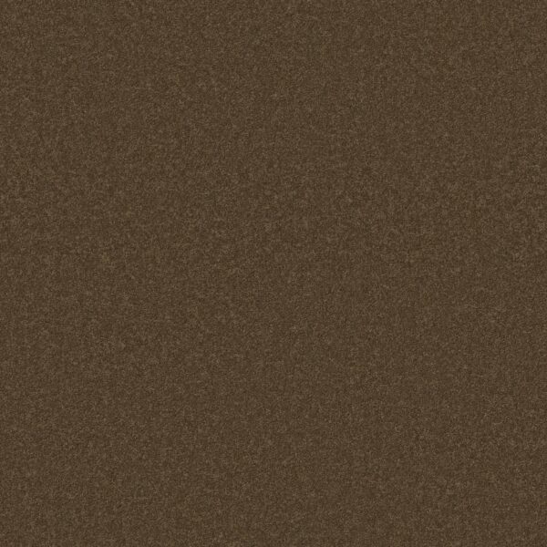 Anderson Tuftex Carpet Cashmere Classic I Bison 00707_CCS68